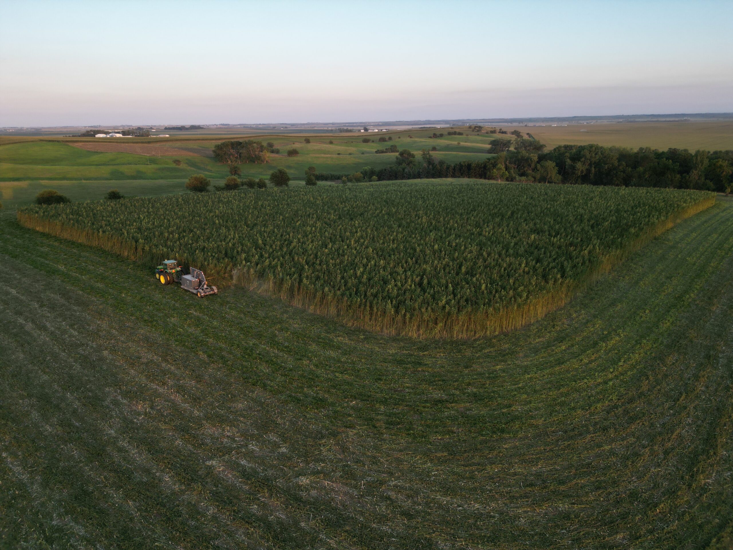 Drone view of HempAgra hemp fields