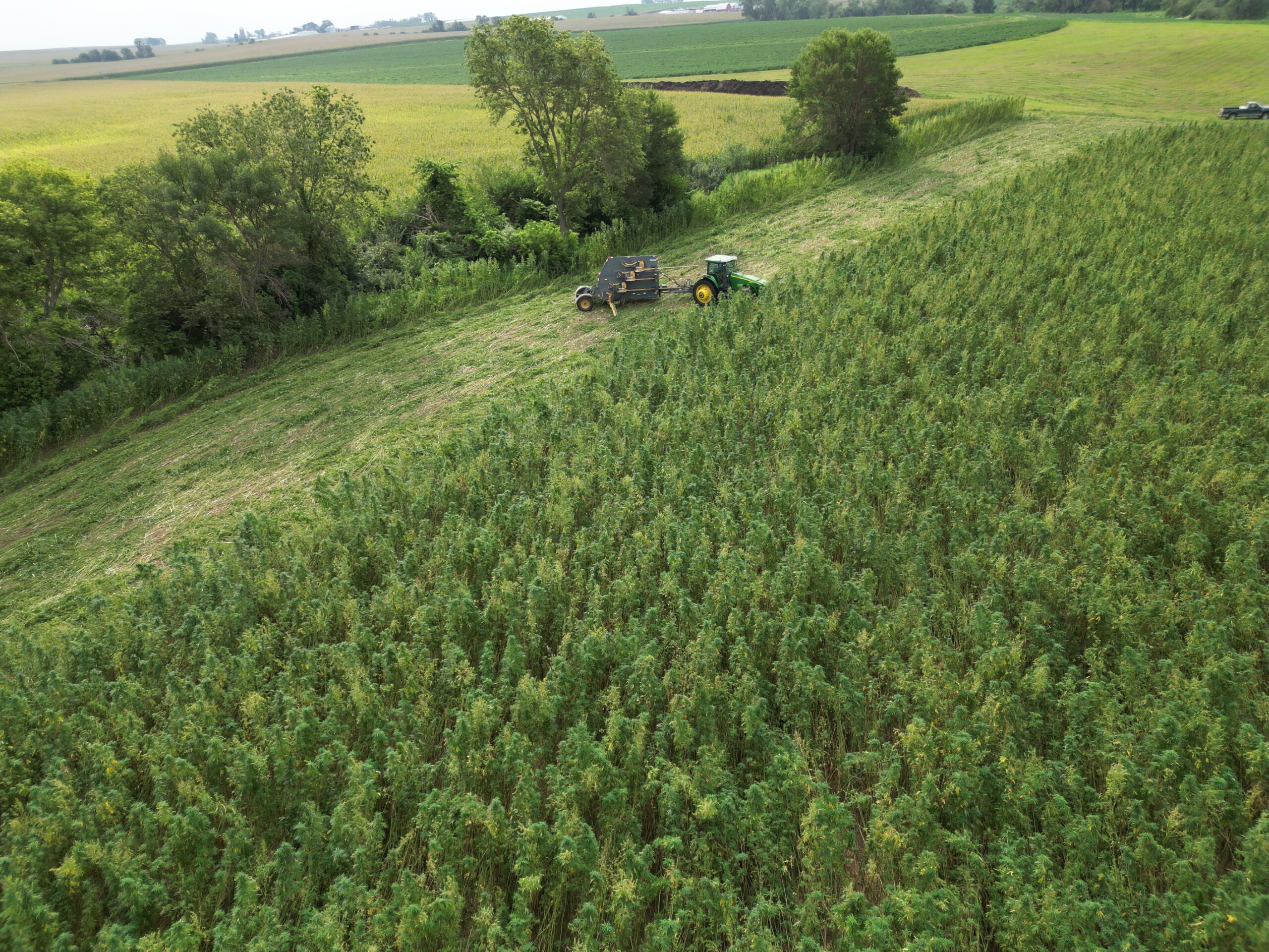 Drone view of Iowa farmland